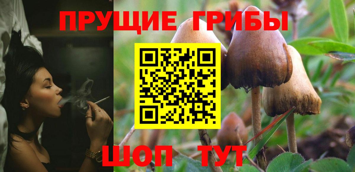 НБОМе Кувандык
